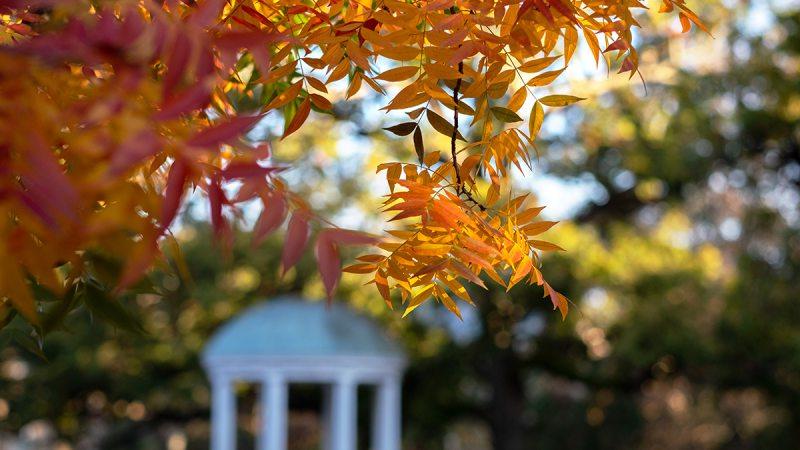 Autumn leaves in foreground with Old Well in background out of focus.